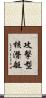 攻擊型核潛艇 Scroll