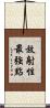 放射性最強點 Scroll