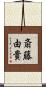 斎藤由貴 Scroll