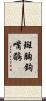 斑胸鉤嘴鶥 Scroll