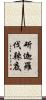 斫迦羅伐辣底 Scroll