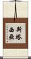 Stasia Scroll
