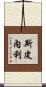 Spinelli Scroll