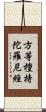 方等檀持陀羅尼經 Scroll