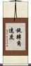 旋轉角速度 Scroll