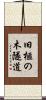 旧榧の木隧道 Scroll