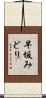 早坂みどり Scroll