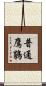 普通鷹鵑 Scroll