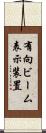 有向ビーム表示装置 Scroll
