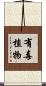 有毒植物 Scroll