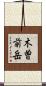 木曽前岳 Scroll