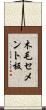 木毛セメント板 Scroll