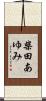 柴田あゆみ Scroll