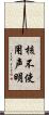 核不使用声明 Scroll