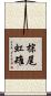 棕尾虹雉 Scroll