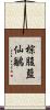 棕腹藍仙鶲 Scroll