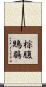 棕腹鶪鶥 Scroll