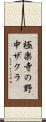 極楽寺の野中ザクラ Scroll