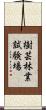 樹芸林業試験場 Scroll