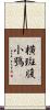橫斑腹小鴞 Scroll