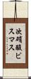 次硝酸ビスマス Scroll