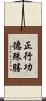 正行功德殊勝 Scroll