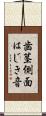 歯茎側面はじき音 Scroll