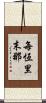每恆里末那 Scroll