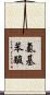 氨基苯酸 Scroll