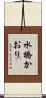 水橋かおり Scroll