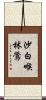 沙白喉林鶯 Scroll