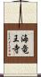 海竜王寺 Scroll