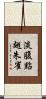 淡腹點翅朱雀 Scroll