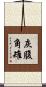 灰腹角雉 Scroll
