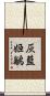 灰藍姬鶲 Scroll