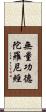 無量功德陀羅尼經 Scroll