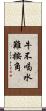 牛不喝水難按角 Scroll