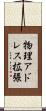 物理アドレス拡張 Scroll