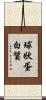 球狀蛋白質 Scroll