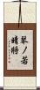琴ノ若晴將 Scroll