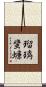 瑠璃蜚蠊 Scroll