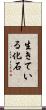 生きている化石 Scroll
