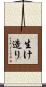 生け造り Scroll