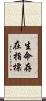 生命存在指標 Scroll