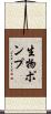 生物ポンプ Scroll
