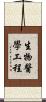 生物醫學工程 Scroll
