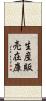 生産販売在庫 Scroll