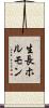 生長ホルモン Scroll