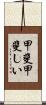 甲斐甲斐しい Scroll