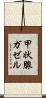 甲状腺ガゼル Scroll
